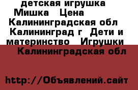 детская игрушка - Мишка › Цена ­ 1 000 - Калининградская обл., Калининград г. Дети и материнство » Игрушки   . Калининградская обл.